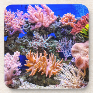 Saltwater Aquarium - Coral Reef Bier Onderzetter