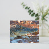 Saltwater Crocodile Briefkaart (Staand voorkant)