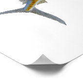 Saltwater Gamefish Art Poster (Hoek)