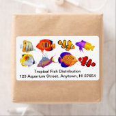  saltwater Marine Aquarium Fish Label (Insitu)