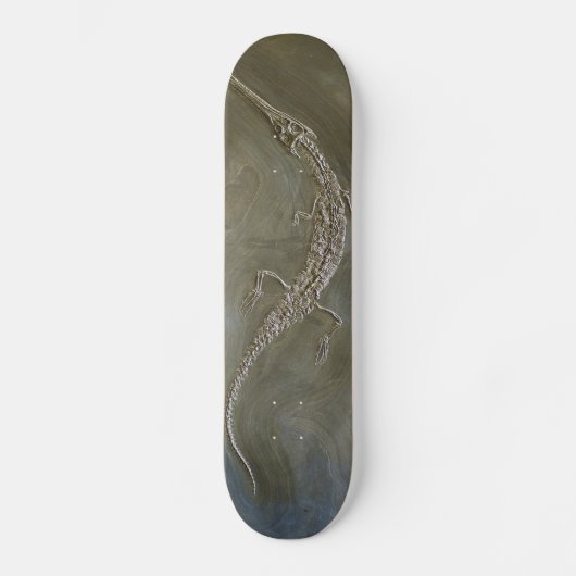 Saltwaterkrokodil Fossil Steneosaurus bollensis Skateboard (Voorkant)