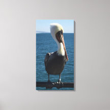 Salty Zee Pelican Canvas