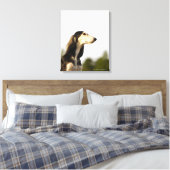 Saluki 2 canvas afdruk (Insitu (Slaapkamer))