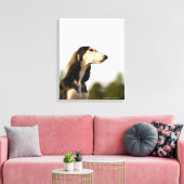 Saluki 2 canvas afdruk (Insitu (Woonkamer))