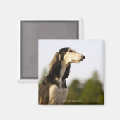 Saluki 2 magneet (Voorkant / Achterkant)