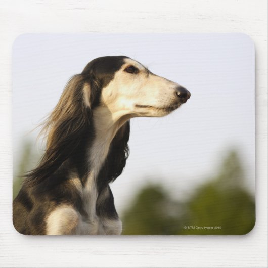 Saluki 2 muismat (Voorkant)