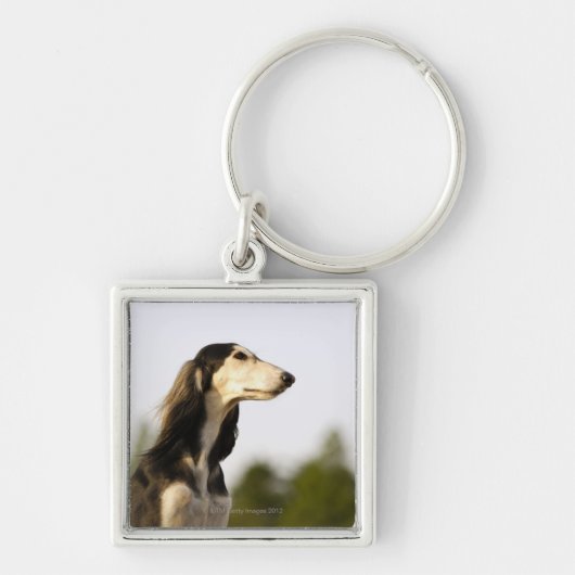 Saluki 2 sleutelhanger (Voorkant)