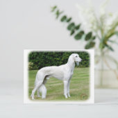 Saluki Briefkaart (Staand voorkant)