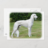 Saluki Briefkaart (Voorkant / Achterkant)