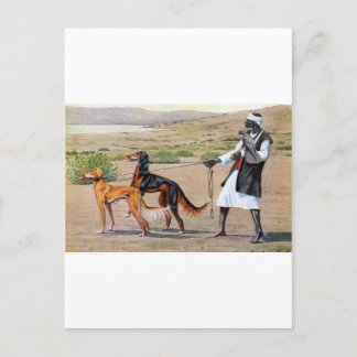 saluki briefkaart