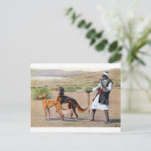 saluki briefkaart (Staand voorkant)