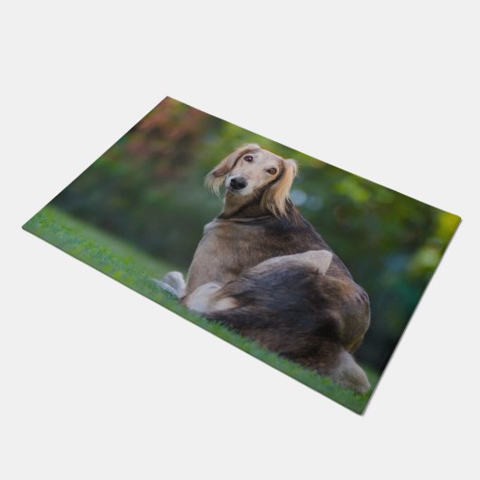 Saluki Dog. Deurmat (Schuin)