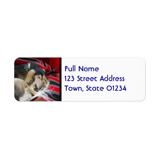 Saluki Étiquettes (Devant)