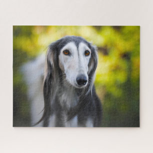 Saluki-hondenpuzzels. Legpuzzel