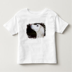 Saluki kijkt omhoog kinder shirts