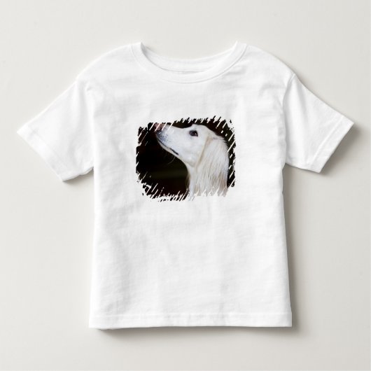 Saluki kijkt omhoog kinder shirts (Voorkant)