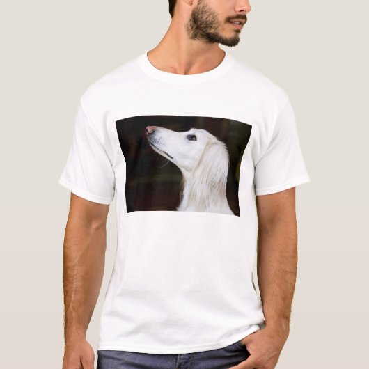 Saluki kijkt omhoog t-shirt (Voorkant)