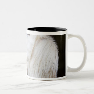 Saluki kijkt omhoog tweekleurige koffiemok