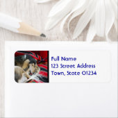 Saluki Mailing Labels (Insitu)