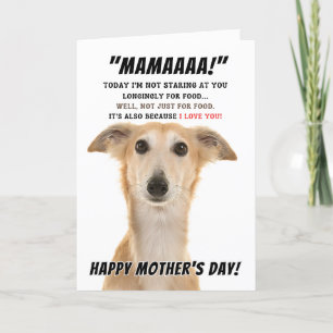 Saluki Moederdag wensen Bedankkaart
