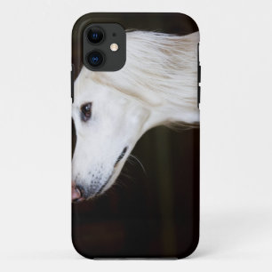Saluki omhoog kijkend iPhone 11 hoesje