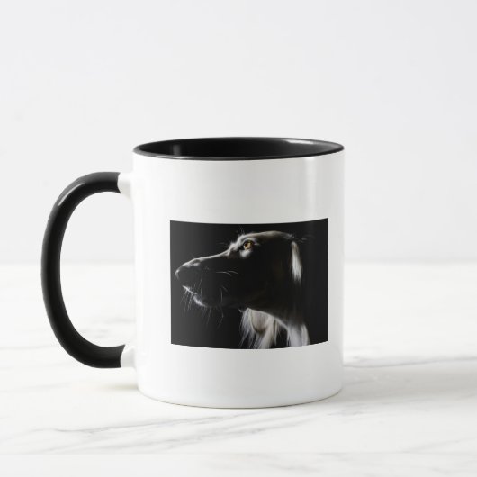 Saluki, portret mok (Links)