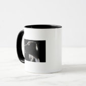 Saluki, portret mok (Voorkant links)