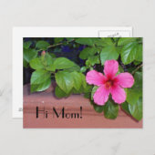 Salut maman ! Carte postale (Devant / Derrière)