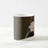 "Salut !" tasse de chaton (Centre)