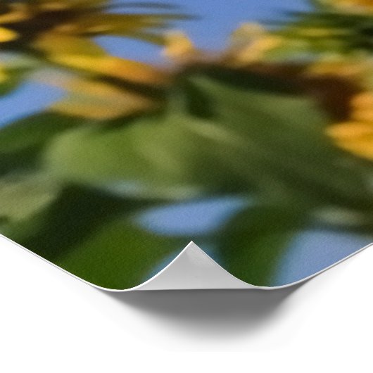 SALUTAGE EN LIGNE + POSTER (Coin)