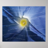 Salutaties aan de Dageraad Poster (Voorkant)