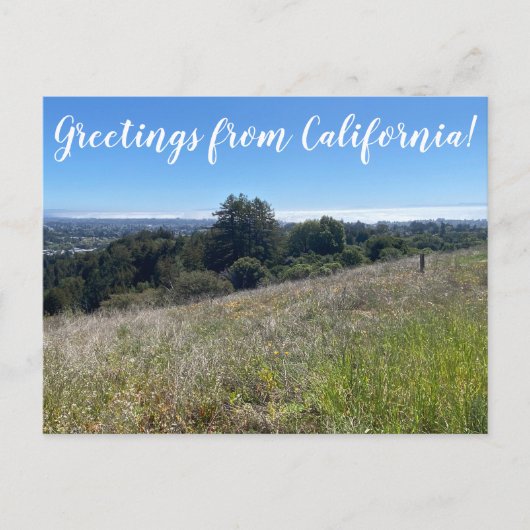Salutations de Californie ! Carte postale (Devant)