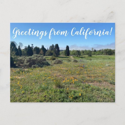 Salutations de Californie ! Carte postale (Devant)