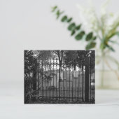 Salutations de cimetière ! - Carte postale n° 1 (Debout devant)