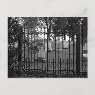 Salutations de cimetière ! - Carte postale n° 1