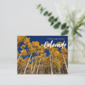 Salutations de Colorado Apen Trees Carte postale (Debout devant)