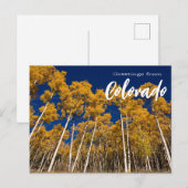 Salutations de Colorado Apen Trees Carte postale (Devant / Derrière)