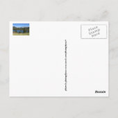 Salutations de Colorado Carte postale (Dos)