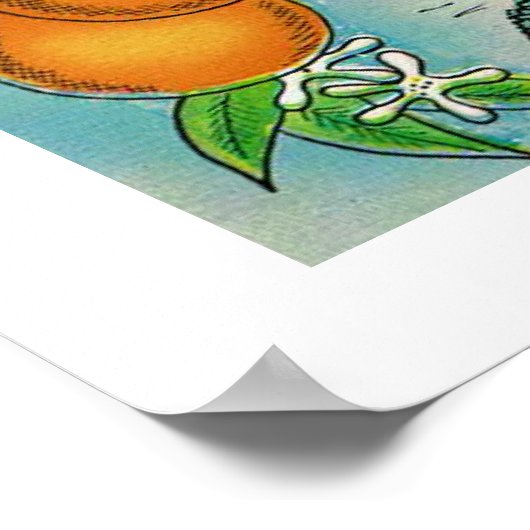 Salutations De Floride 20x28 Poster Imprimer (Coin)