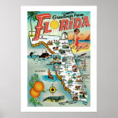 Salutations De Floride 20x28 Poster Imprimer (Devant)