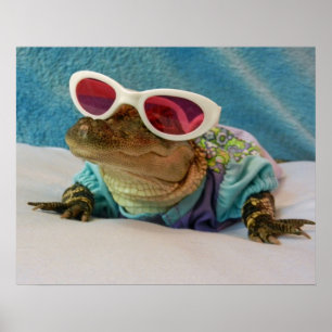 Salutations de Gator - Poster Conserver le Sourire