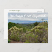 Salutations de Hayward ! Carte postale (Devant / Derrière)