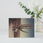 Salutations de la carte postale Arizona! ! ! (Debout devant)