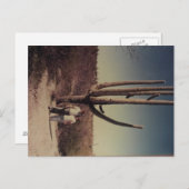 Salutations de la carte postale Arizona! ! ! (Devant / Derrière)