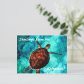 Salutations de la carte postale Bahamas (Debout devant)