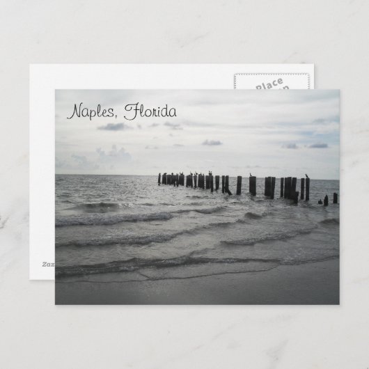 Salutations de la carte postale de Floride (Devant / Derrière)