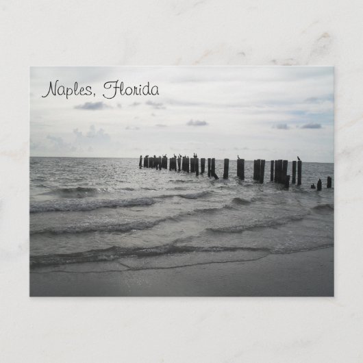 Salutations de la carte postale de Floride (Devant)