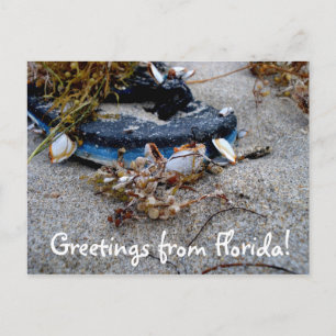 Salutations de la carte postale de Floride