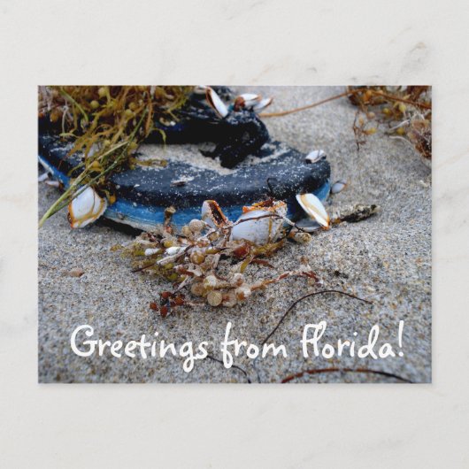 Salutations de la carte postale de Floride (Devant)