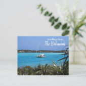 Salutations de la carte postale de voyage des Baha (Debout devant)